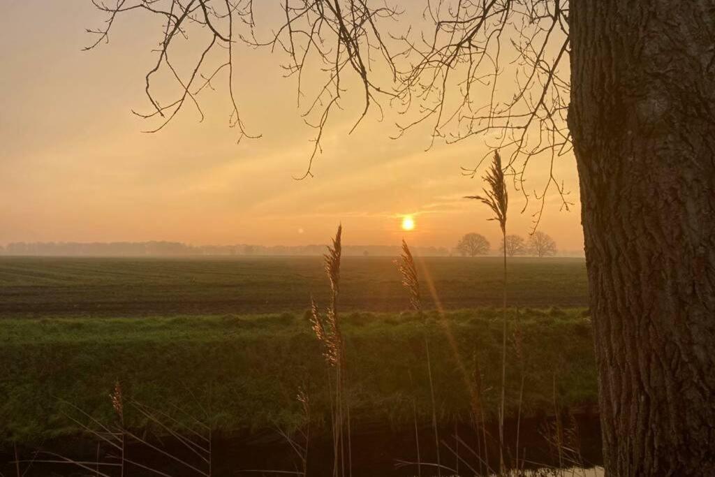 Chalet Het Wollinghuisje Vlagtwedde Buitenkant foto