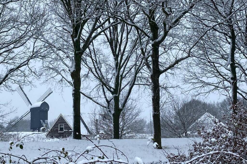 Chalet Het Wollinghuisje Vlagtwedde Buitenkant foto