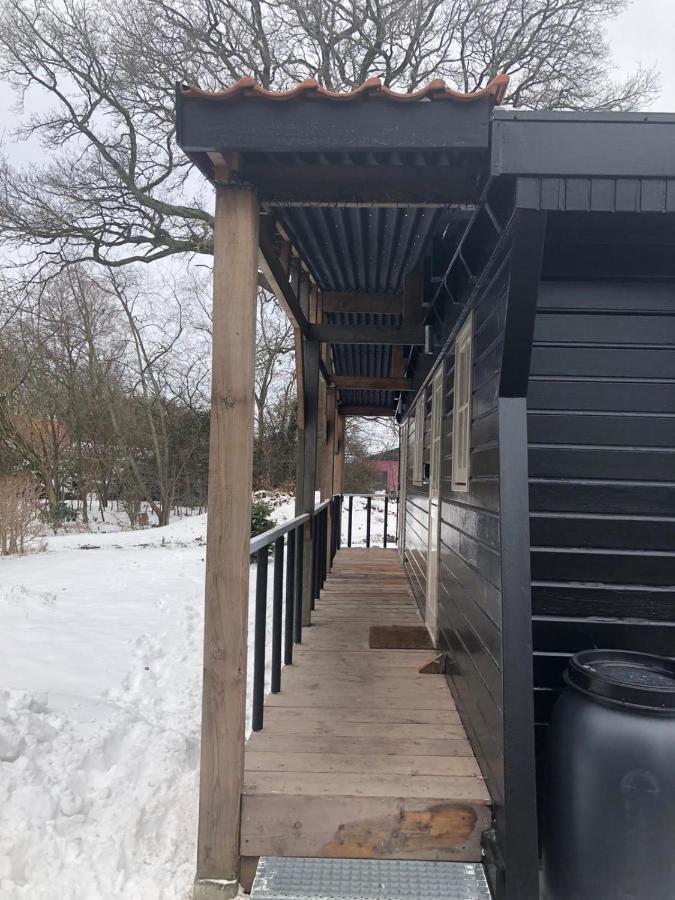 Chalet Het Wollinghuisje Vlagtwedde Buitenkant foto